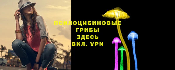 твердый Алексин