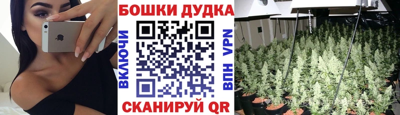 Конопля сатива где купить Бабаево